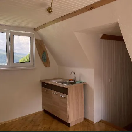 дикий ліс * Jaremče