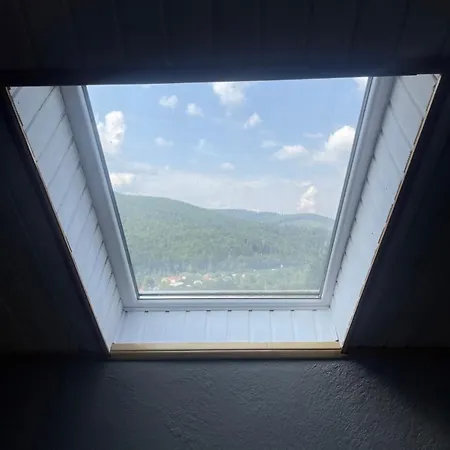 дикий ліс בית כפרי