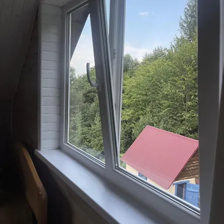 дикий ліс *