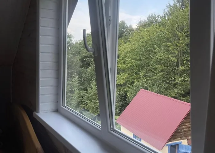 дикий ліс *