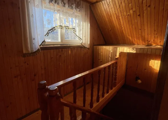 дикий ліс *