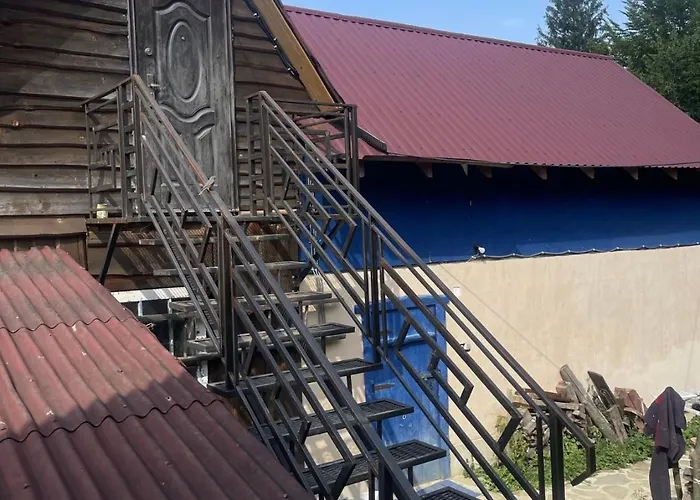 дикий ліс *